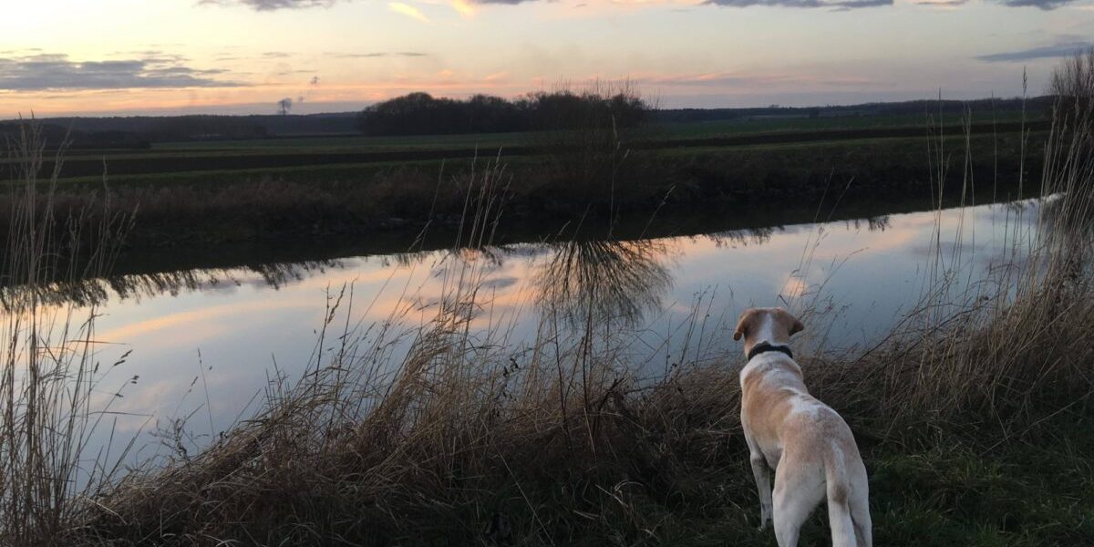 Ancholme Valley