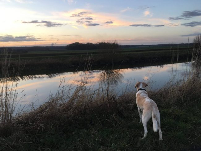 Ancholme Valley