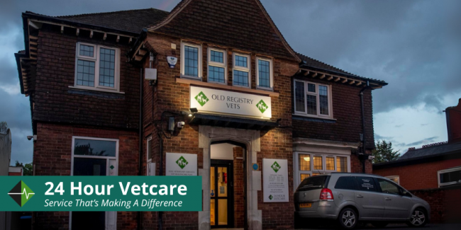 Old Registry – 24 Hour Success Blog Header