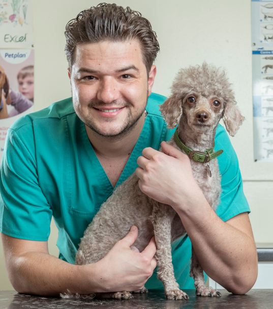 Razvan-MRCVS Razvan-MRCVS